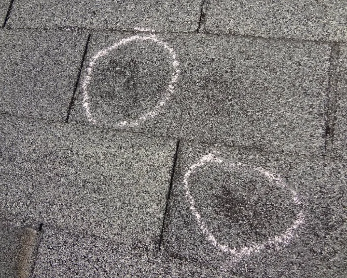 Hail Damage How to spot it, and what to do next Greenawalt Roofing Company