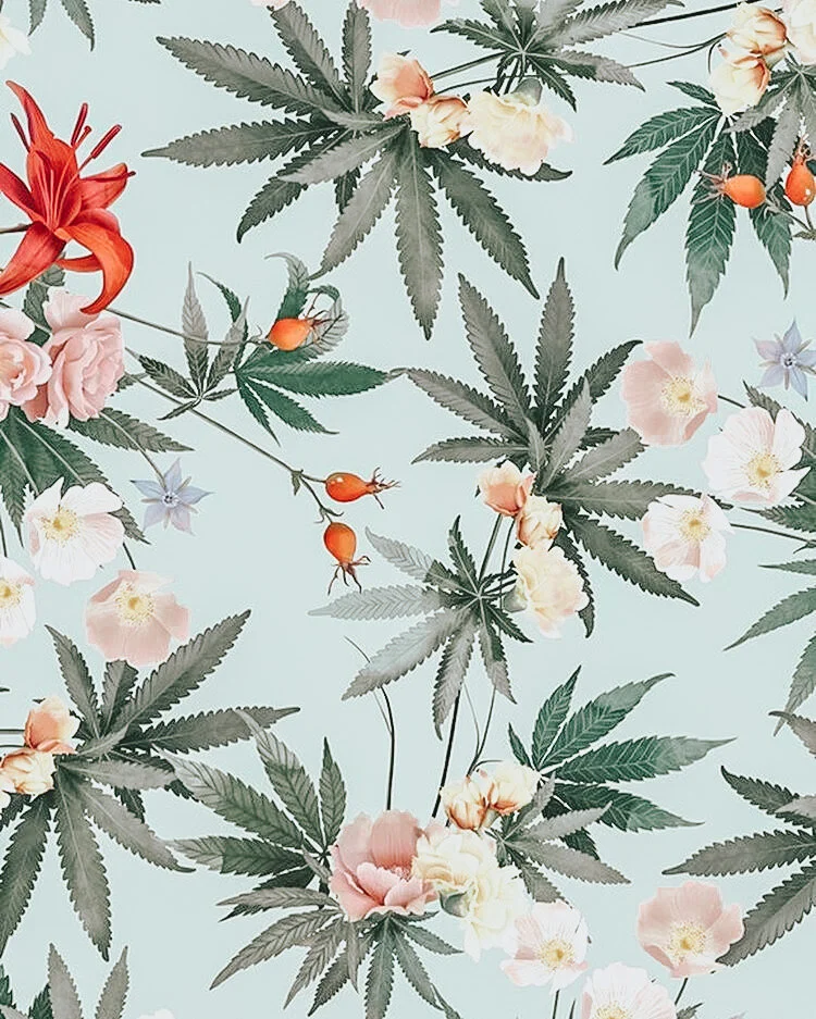 Let me break it down for you: CBD