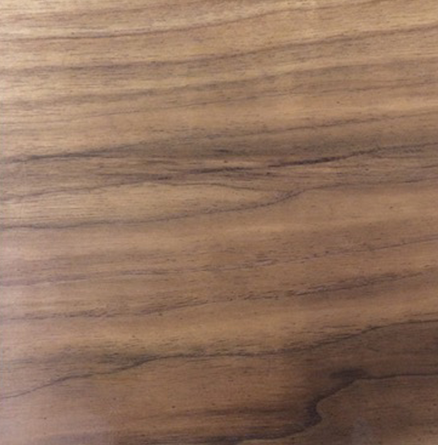 American Black Walnut Bleached 2.jpeg