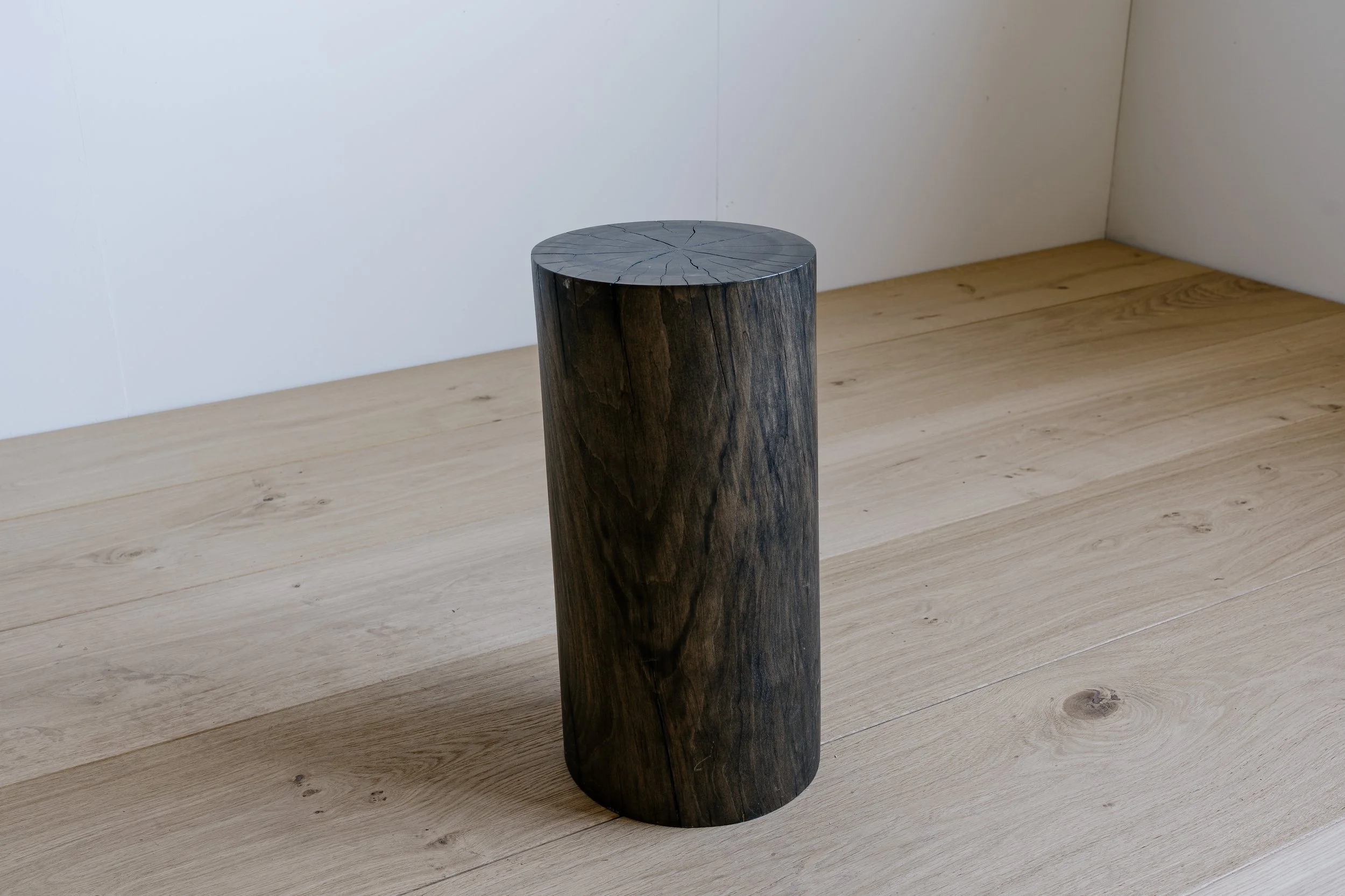 #2024304 Stump
