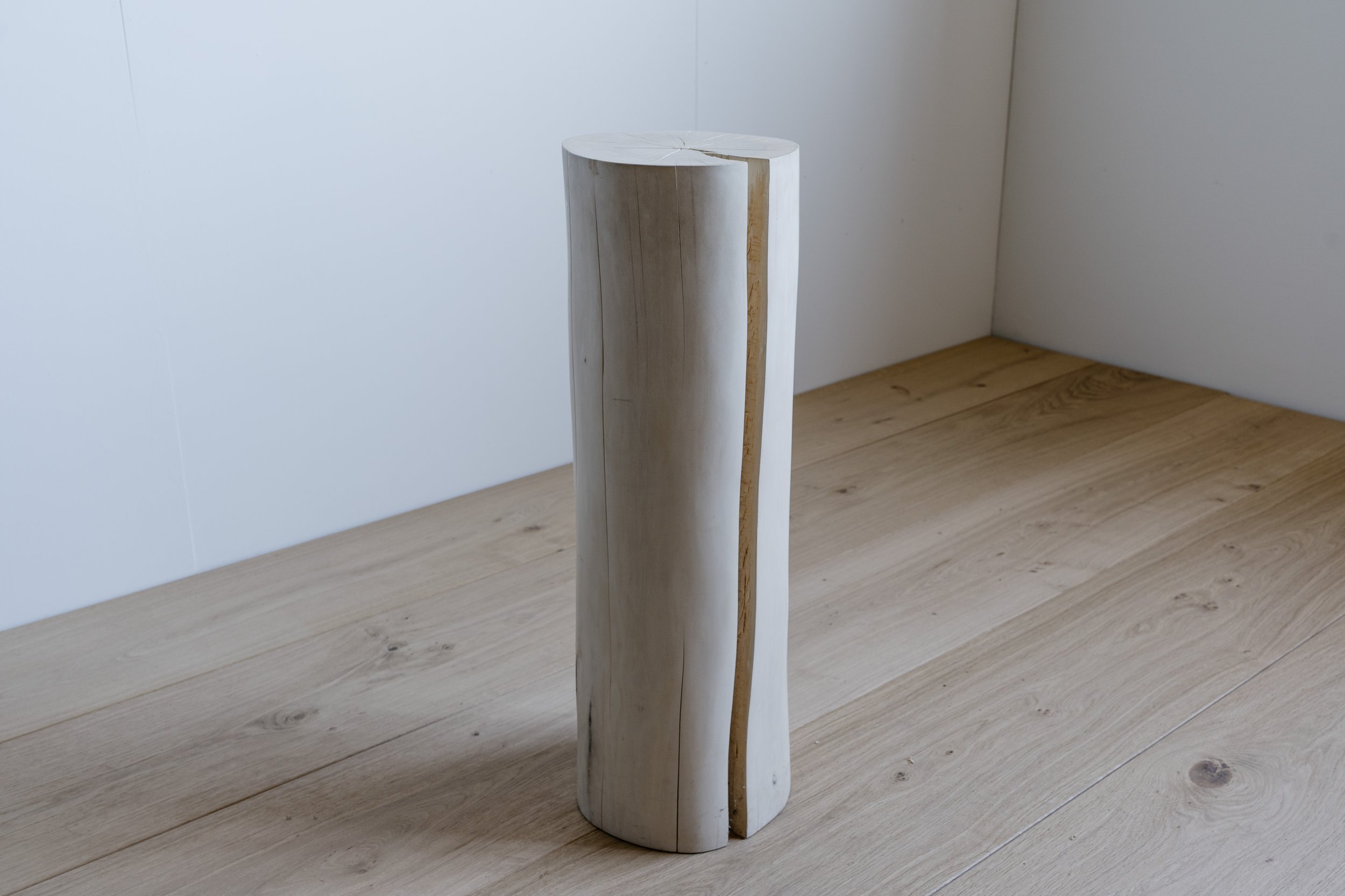 #2025302 Stump