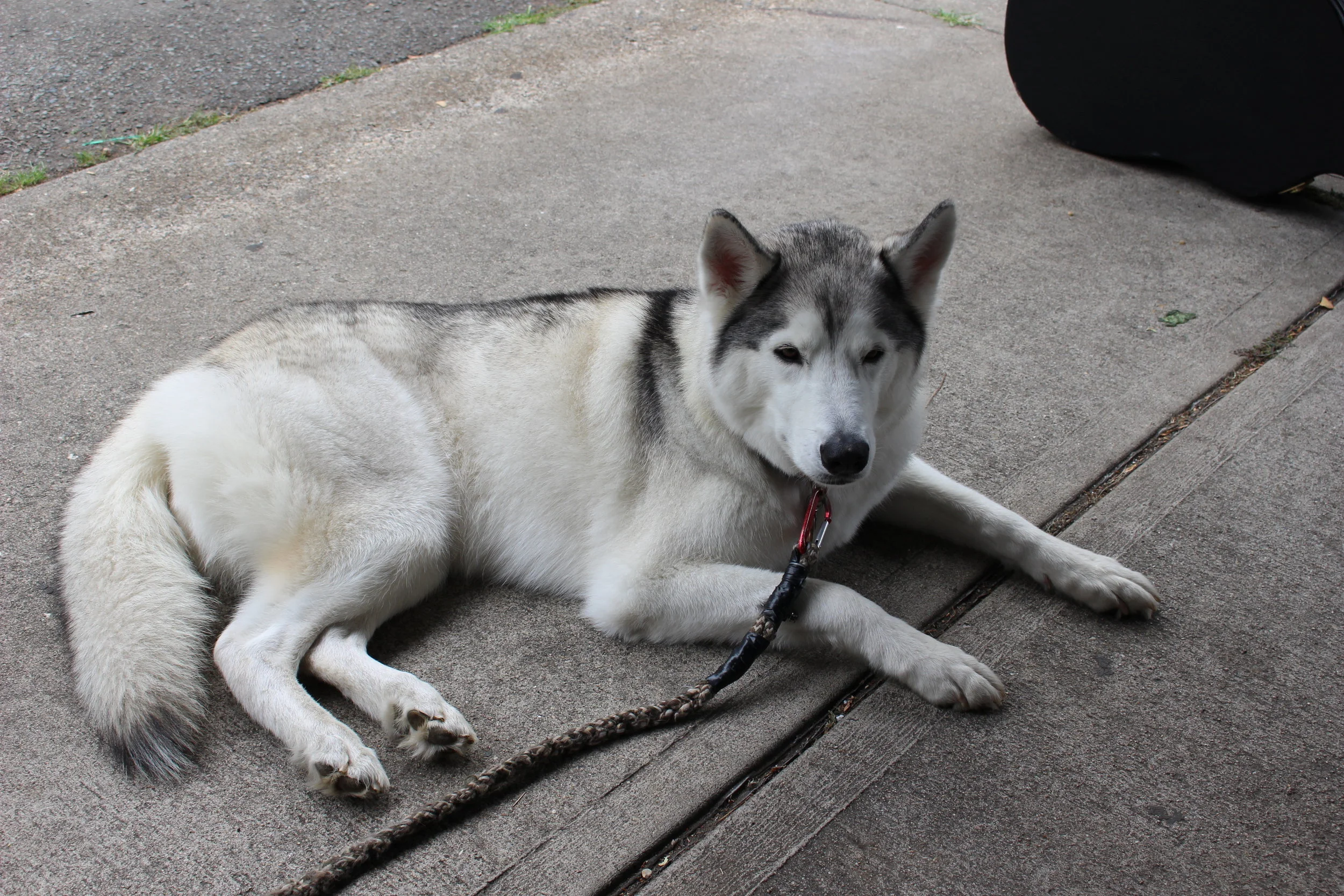 IMG_5197 - 복사본.JPG