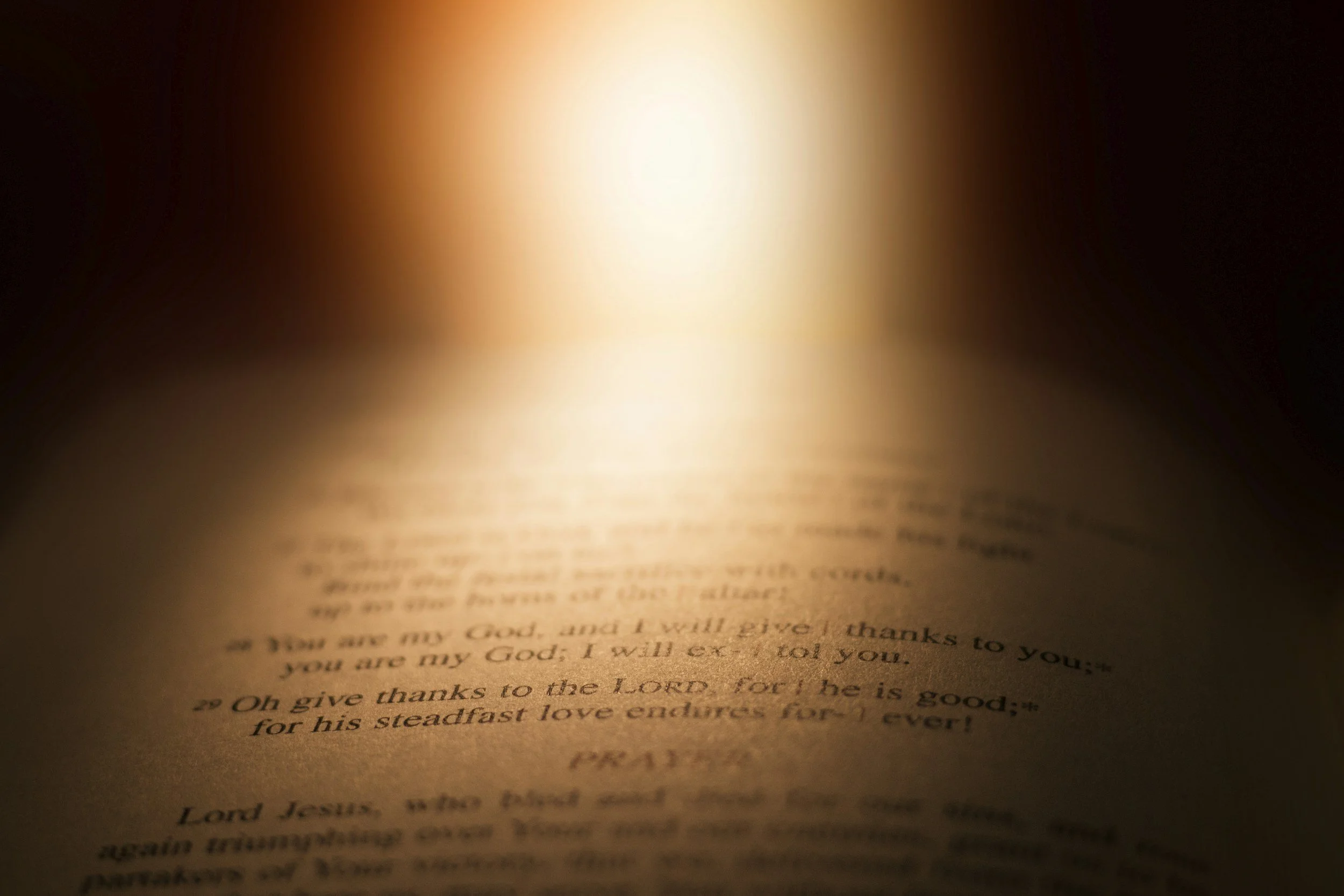 2/16 “구약에서 찾은 복음 - The Gospel Found in the Old Testament"
