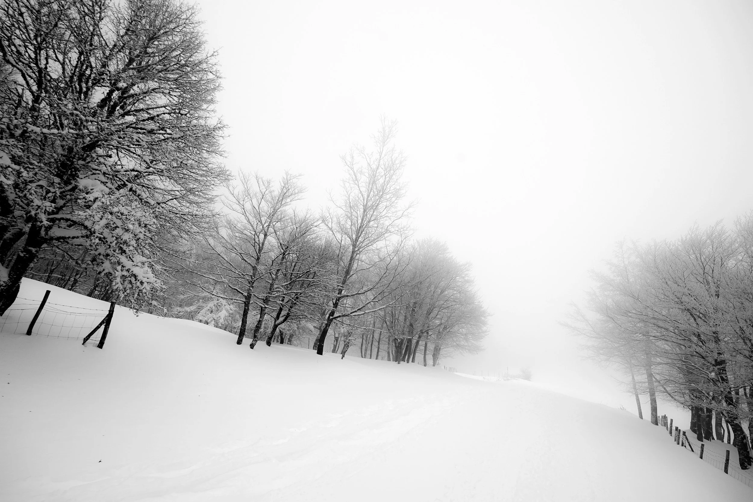 12/13 "중보 기도의 본질 - Intercessory Prayer” (눅 18)