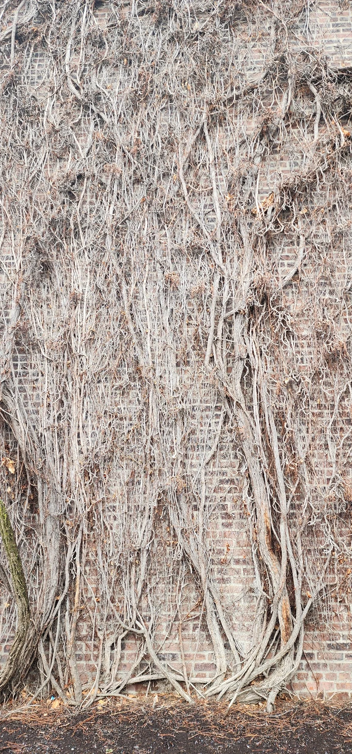 3/19  "비교의 사다리를 내려놓고 은혜로 나아가다" (엡 2)