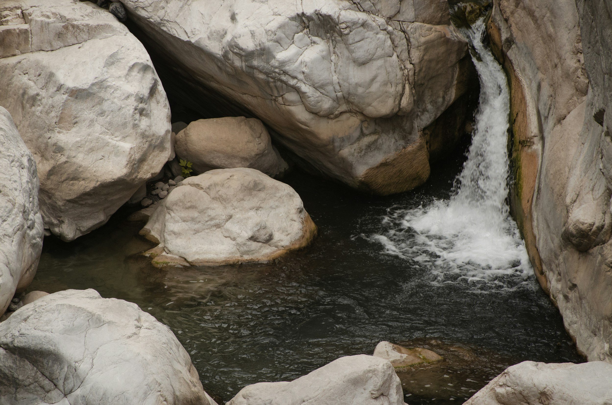 4/19  “Is Love Flowing? / 사랑이 흐르고 있는가?  Agape -3 "