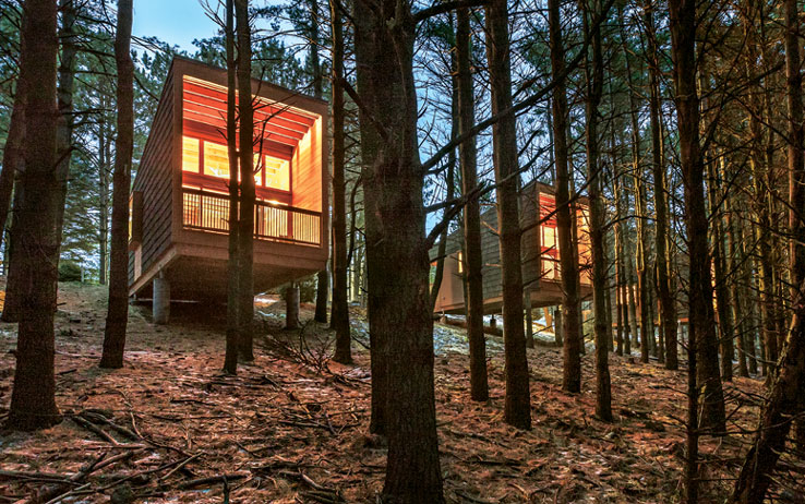 Side-by-side treehouse cabins blend seamlessly into the surrounding forest, providing guests with pure solace and quiet. / Source