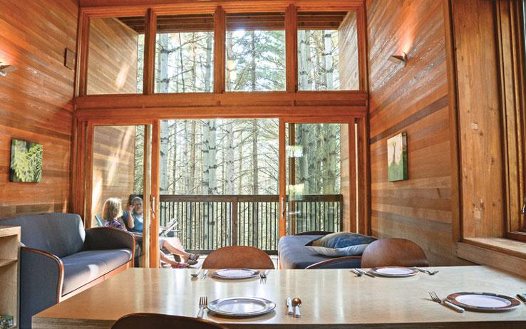 A lofted view of the surrounding trees makes this cabin the ideal spot for a staycation getaway. / Source