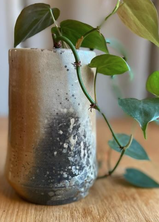 Screenshot 2024-11-25 at 1.24.09 PM.png