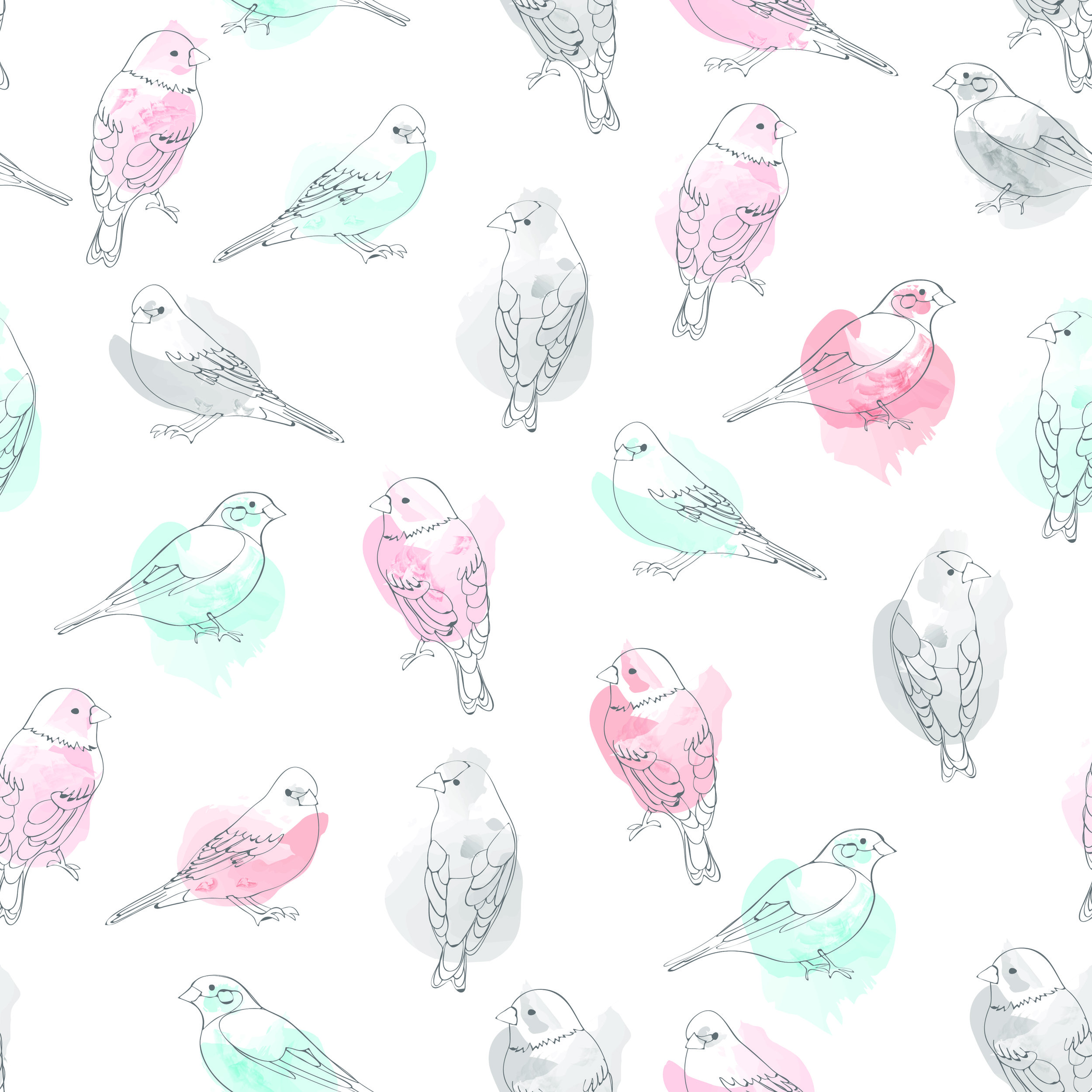 birds multi-01.jpg