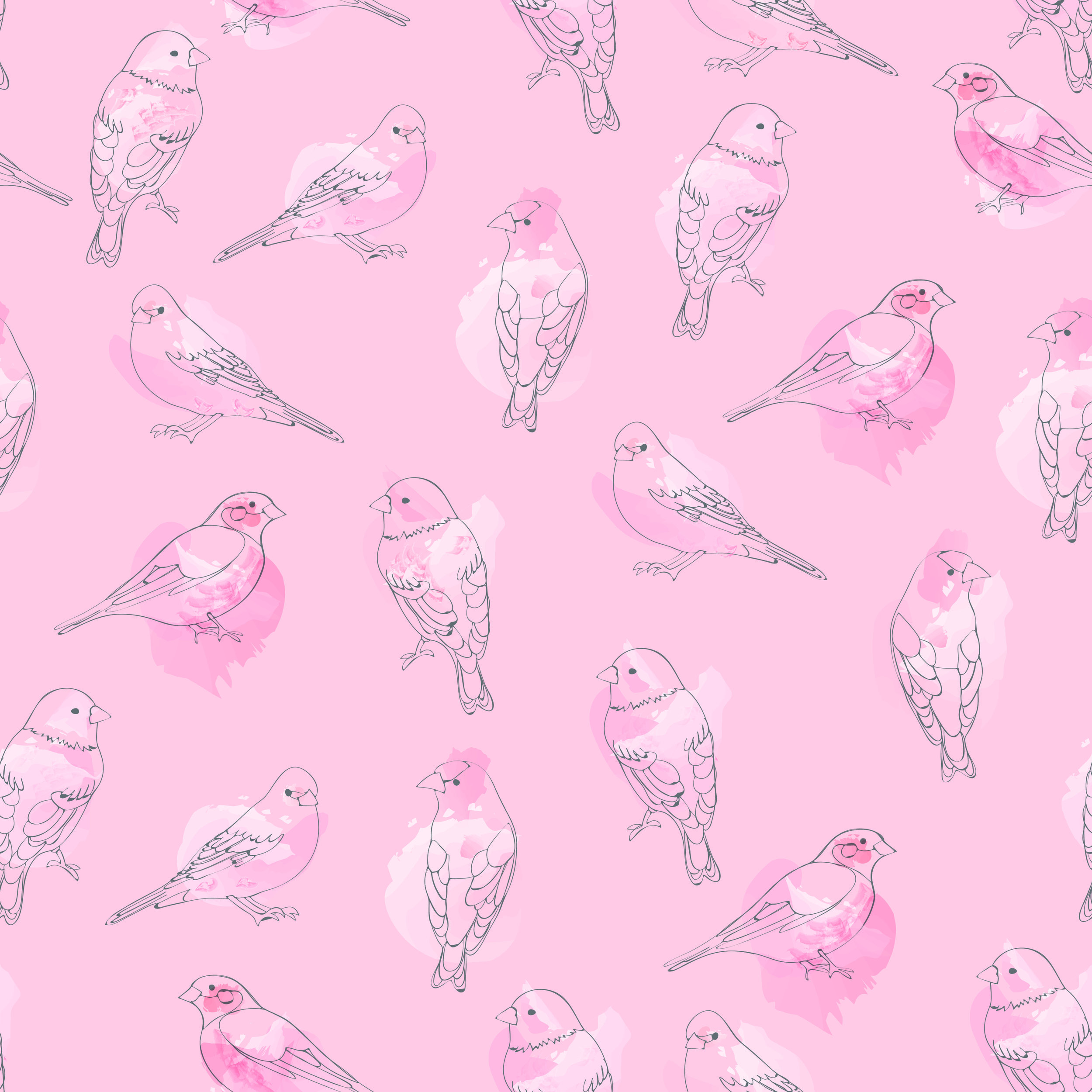 birds pink pink backround 2-01.jpg