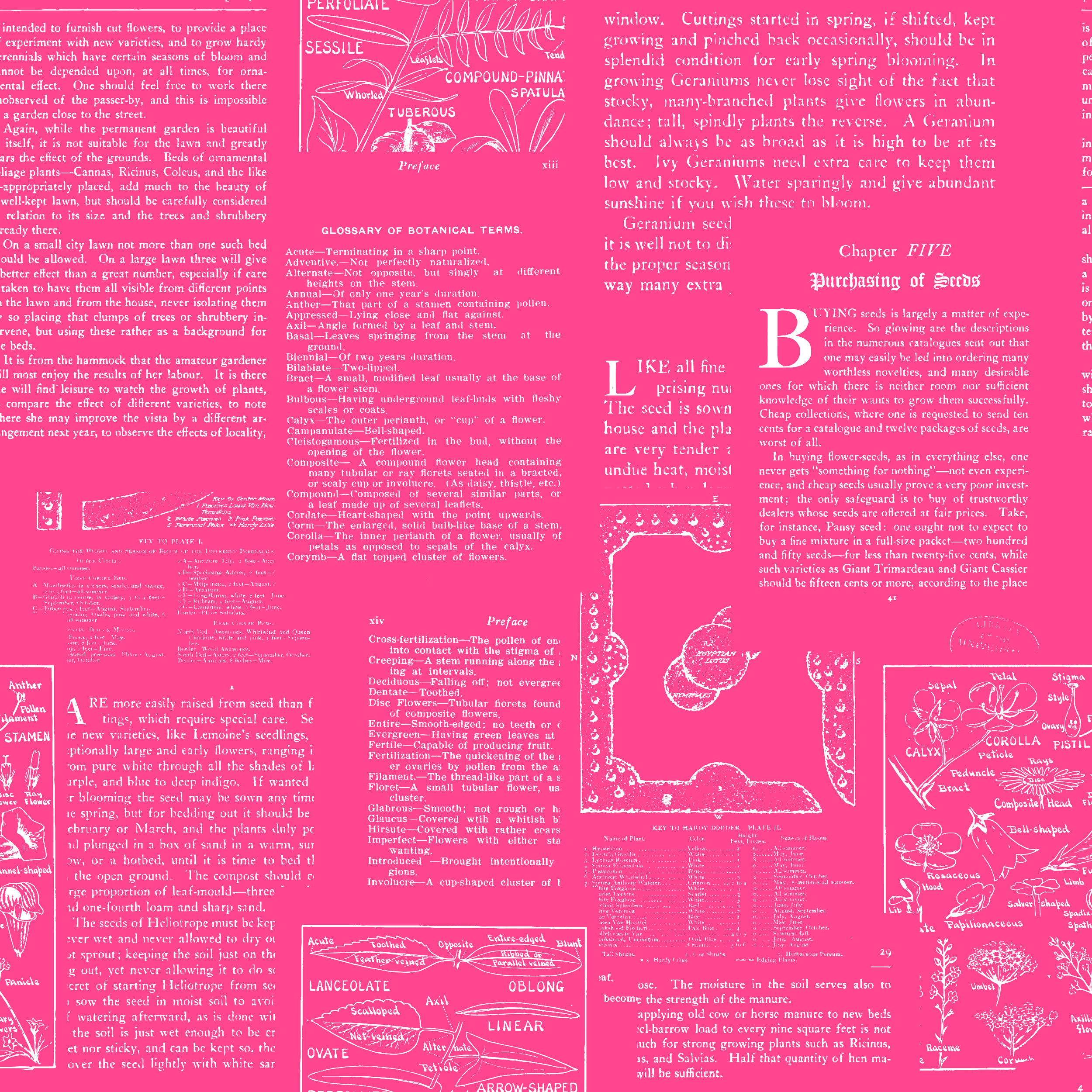 book pages pink with white-01.jpg