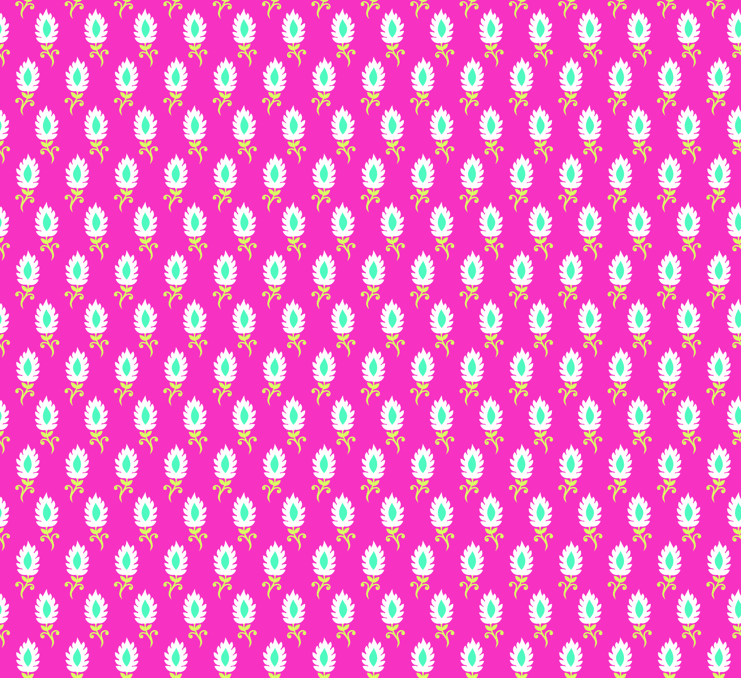 bindi hot pink-01.jpg