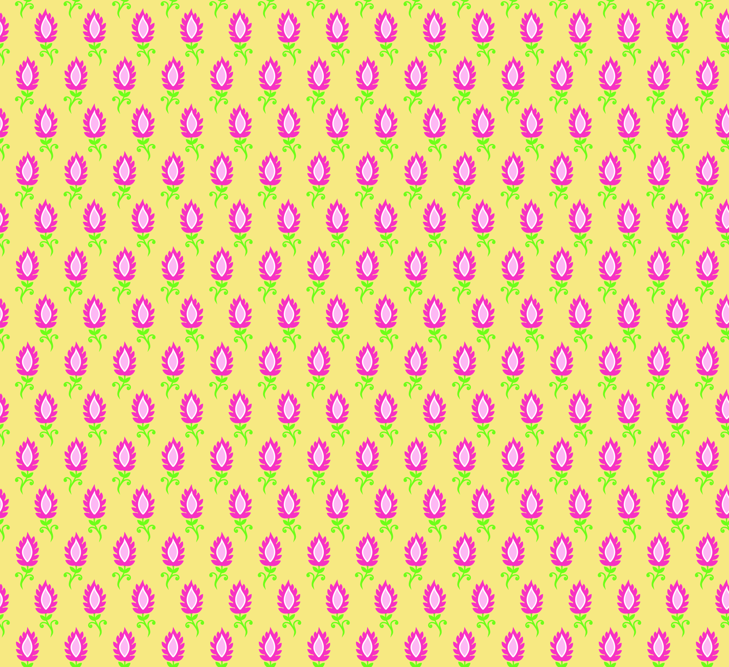 bindi pink and yellow-01.jpg
