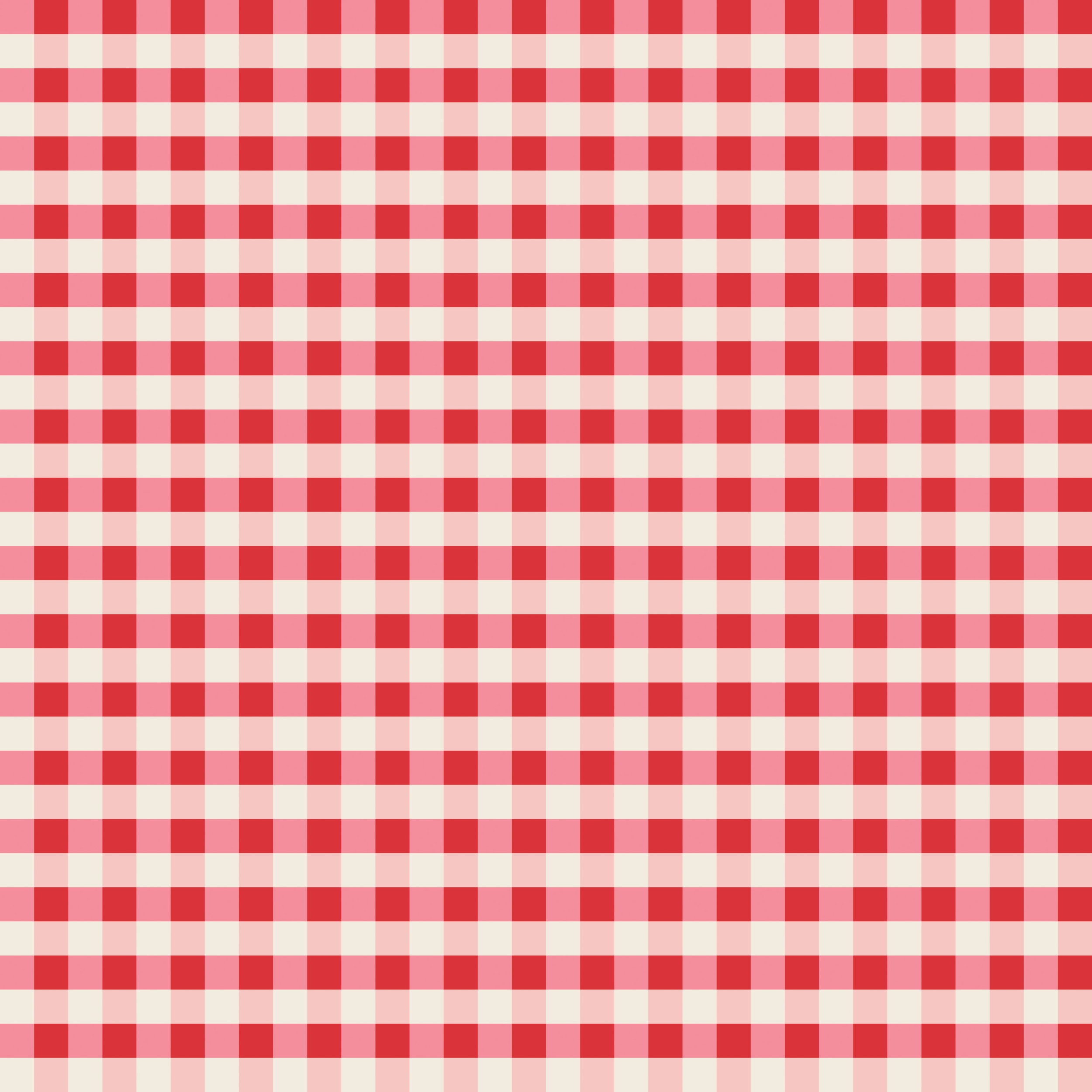 pink and red plaid 300-01.jpg