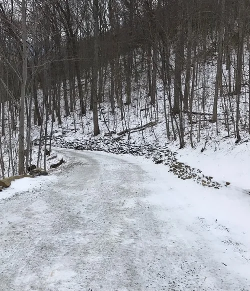 For the Love of Snow