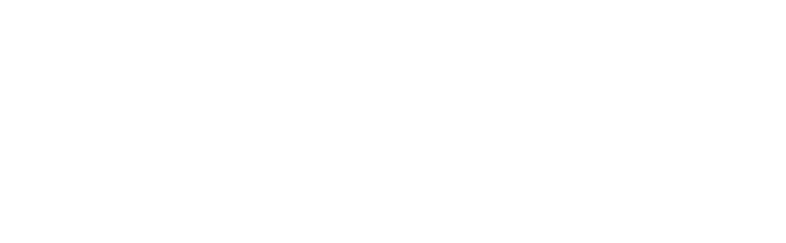 Lexus_2D_Tag_White_HR_RGB.png