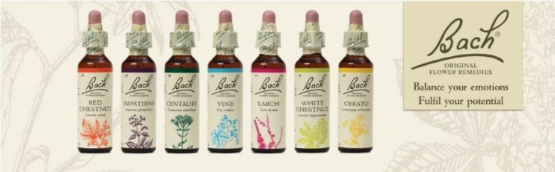 bach flower bottles banner.png