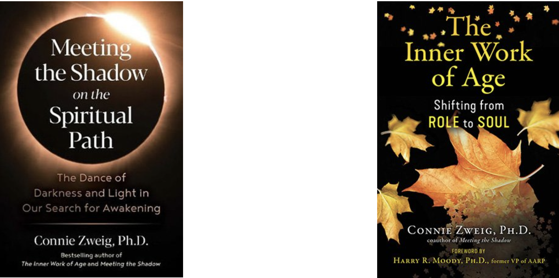 "Meeting the Shadow of Age: Shifting from Role to Soul" with Dr. Connie Zweig