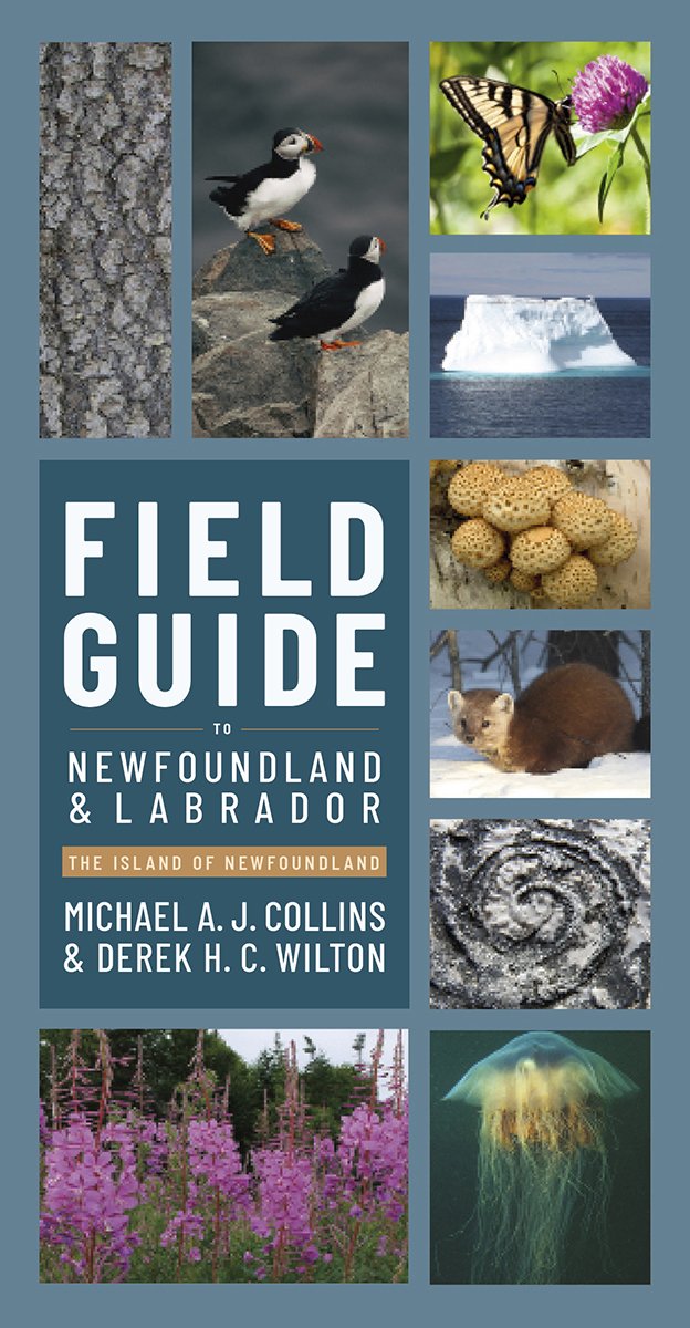 Field Guide to the Island of Newfoundland—Book Layout, Production, Content Creation Assist