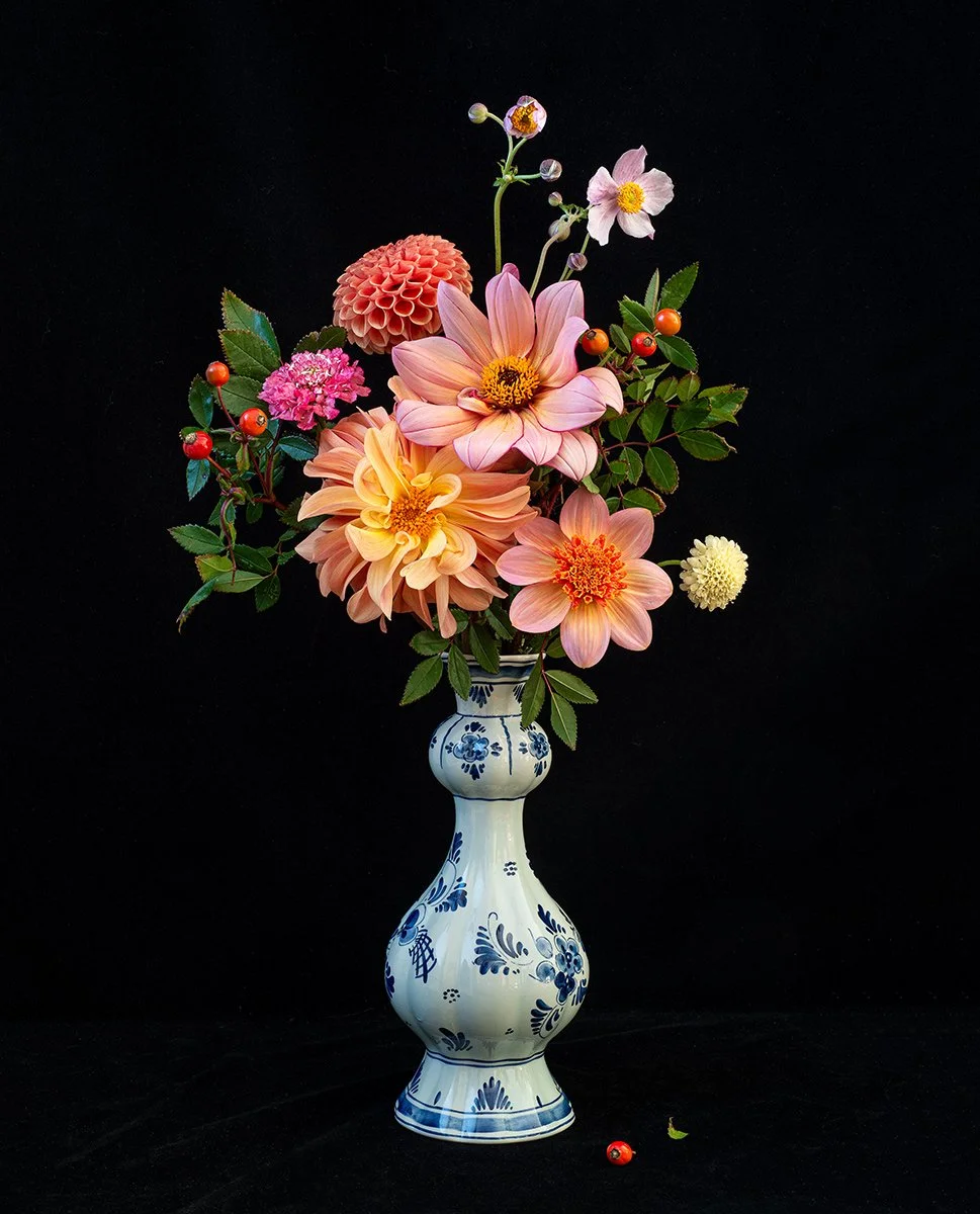 Kate's Dahlias