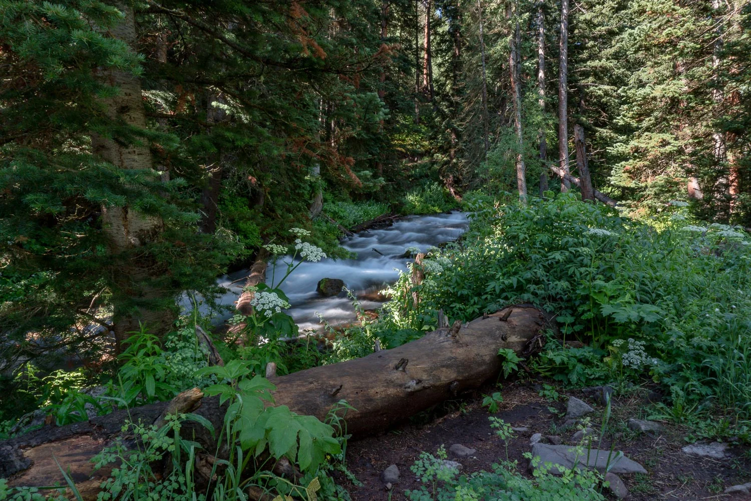 COTrip115(ss).jpg