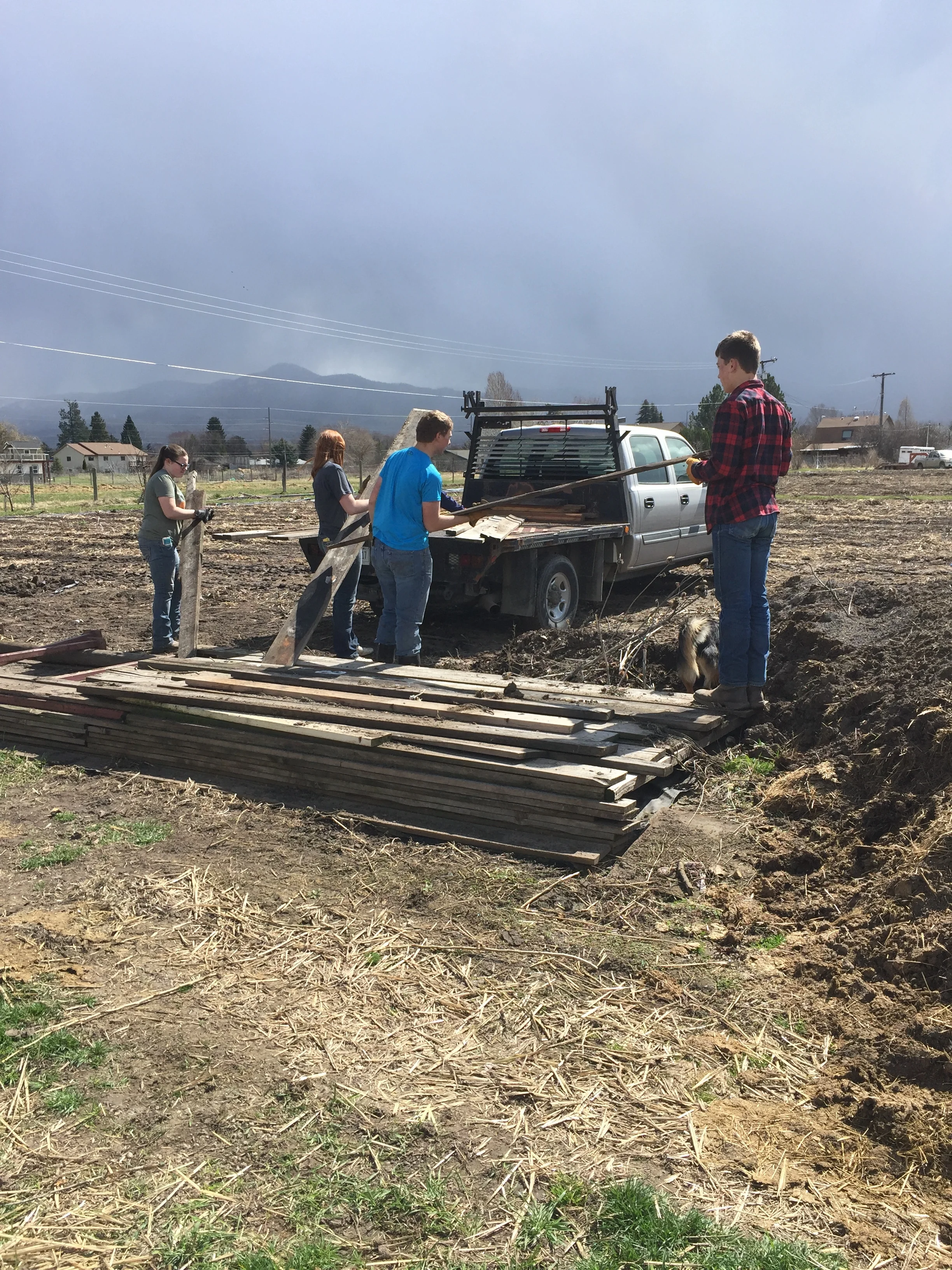  FFA Kids helping clear out the area of our new orchard! 