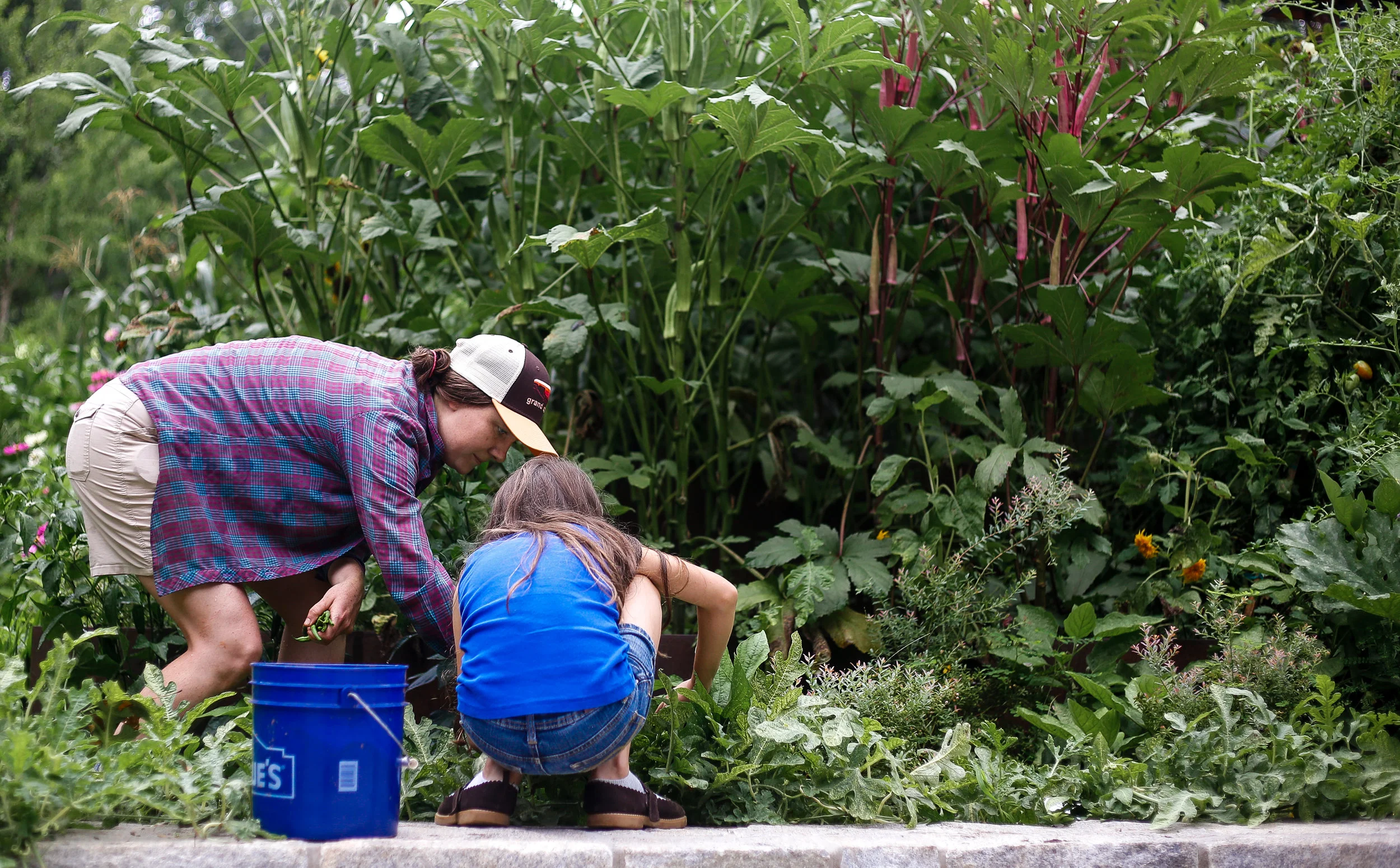 Kristyn Stogner, 30, children's garden curator shows Lydia Shaw, 8, how to harvest tomatoes and green beans for the Garden Earth Explorers taste test program at the Georgia State Botanical Gardens in Athens, Ga., on Saturday, July 20, 2019.
