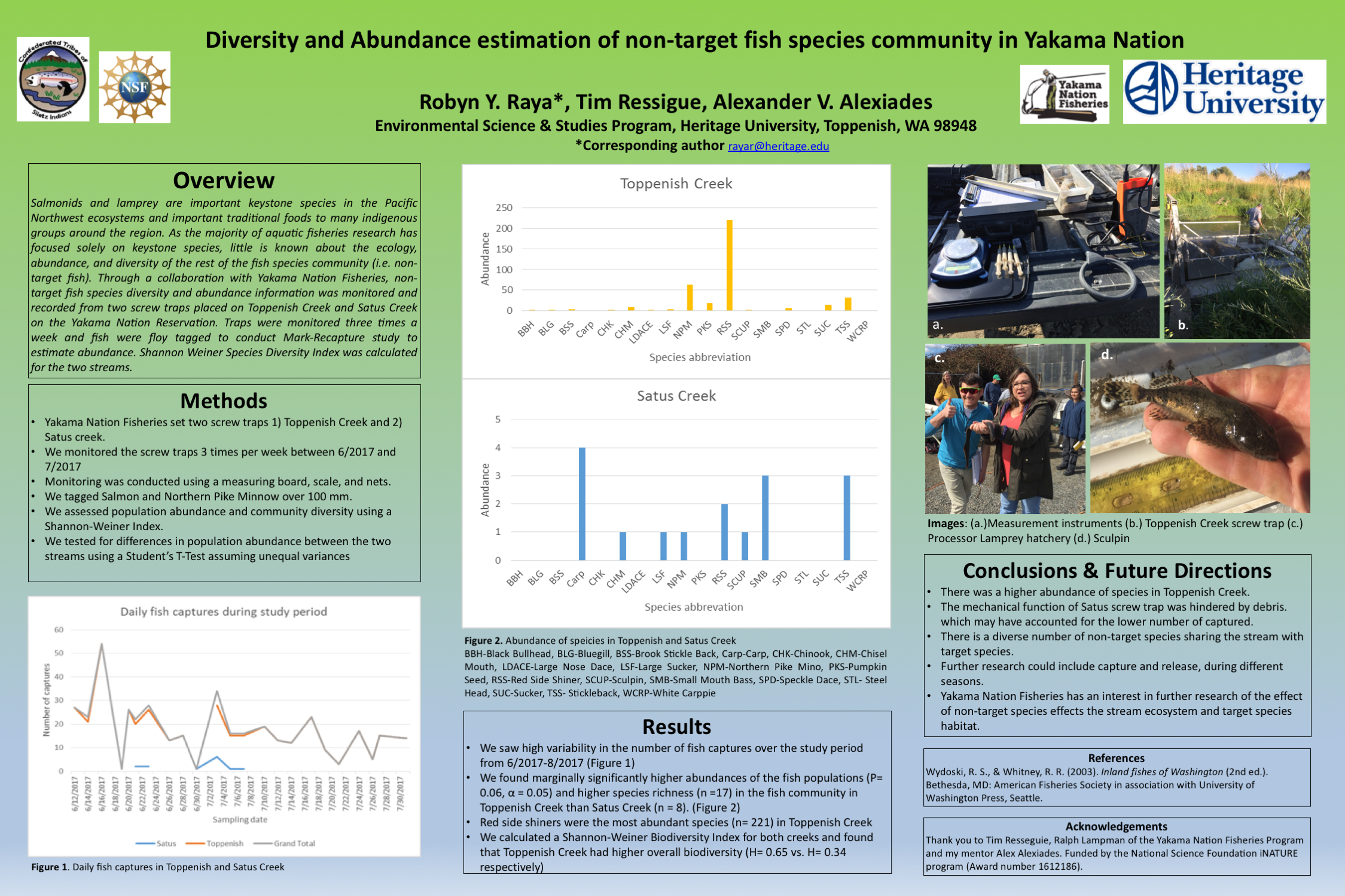 Raya_AISES2017poster_final.png
