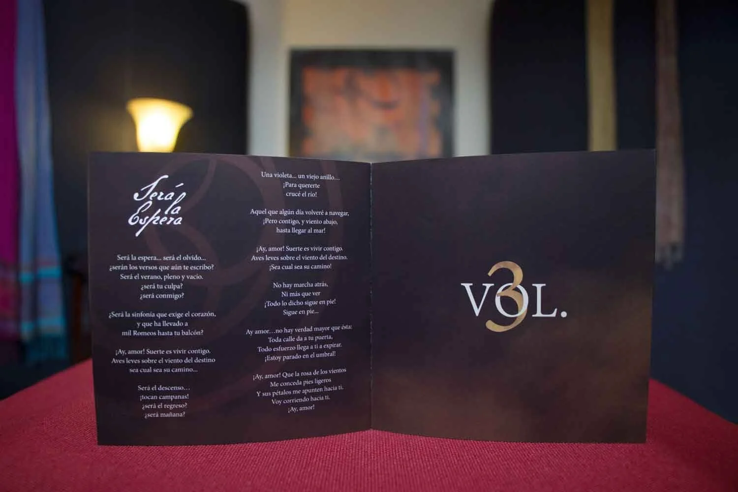 IMG_7880-Libro-Abierto.jpg
