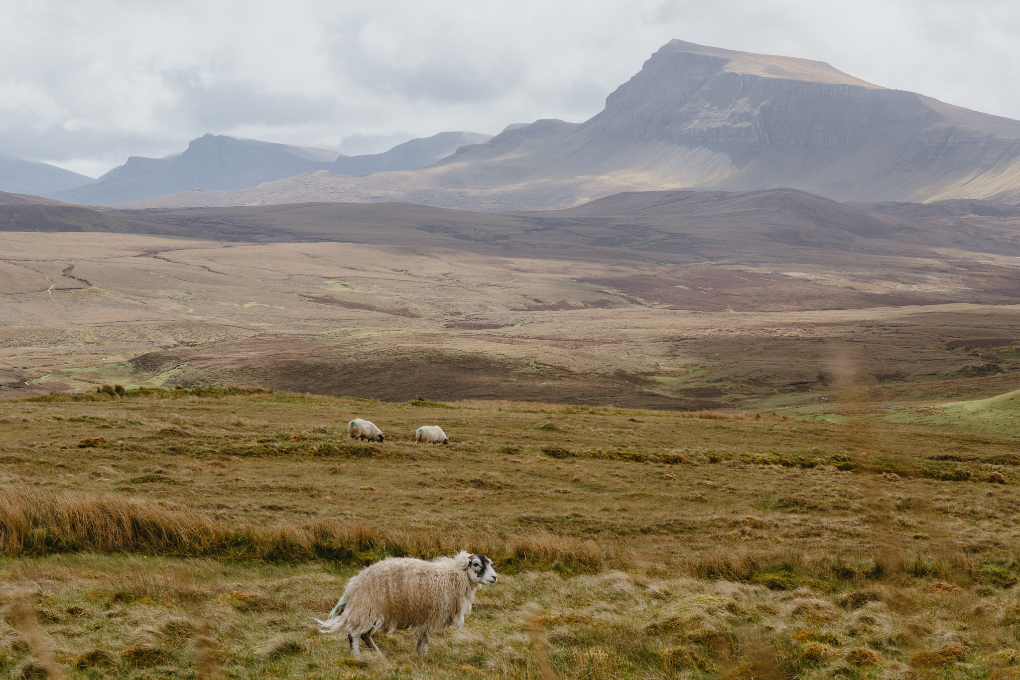 Elope in Scotland | Scotland Elopement Photographer | Rowan + Birch