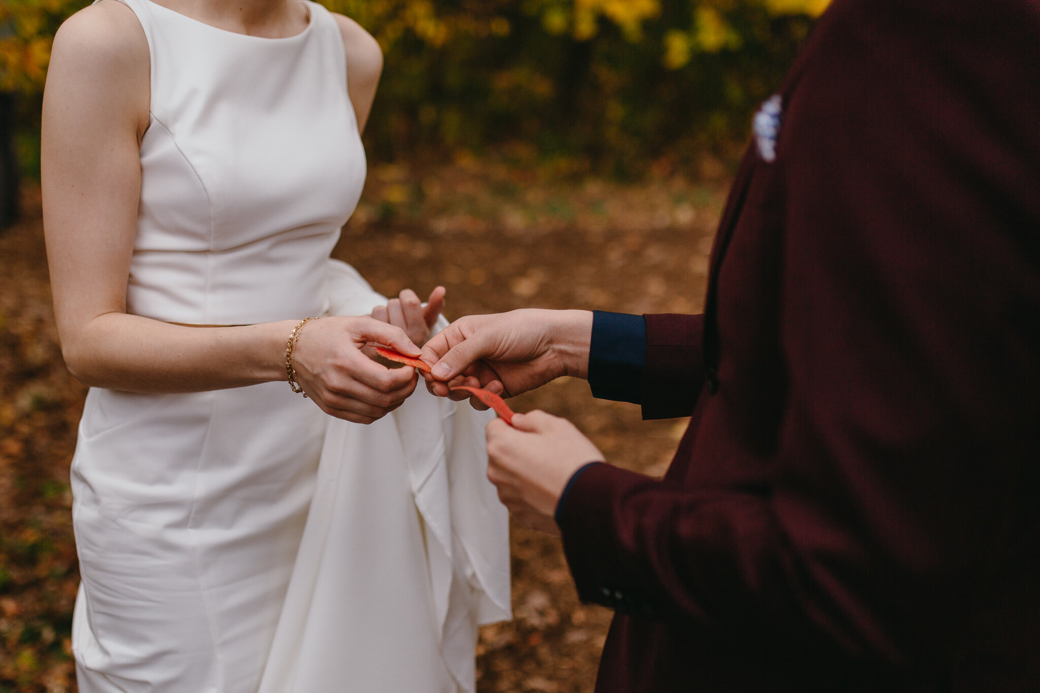 chicago morton arboretum wedding photographer fall