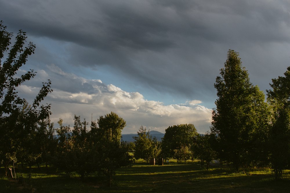 ya ya farm and orchard wedding