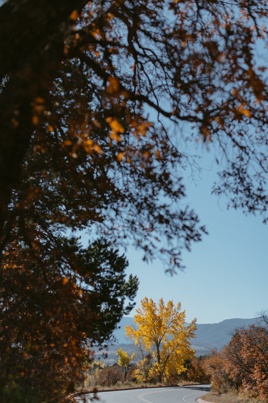 Garden of the Gods in the fall