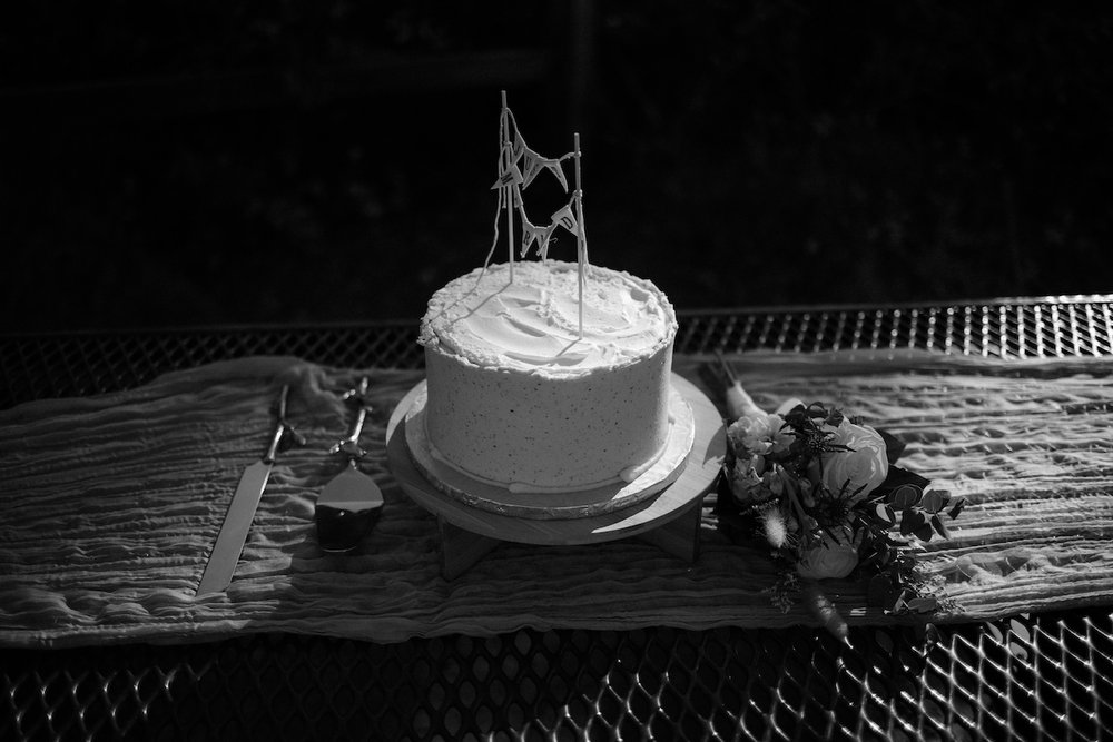Picnic wedding cake