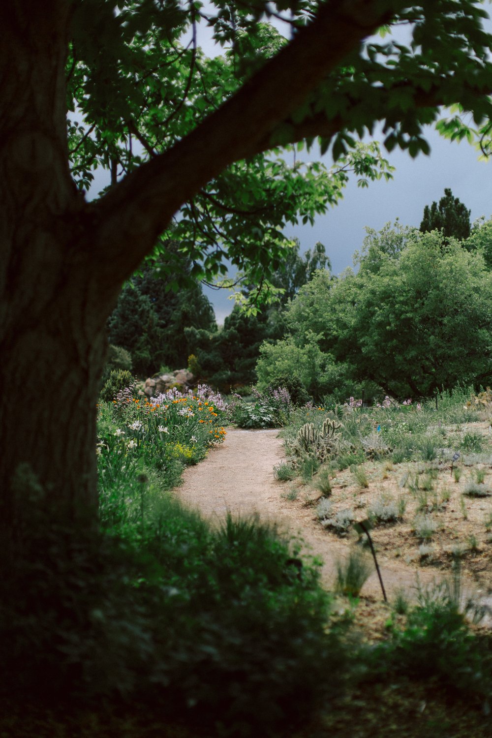 Botanic-Gardens-Denver-Wedding-Rowan+Birch-16.jpg