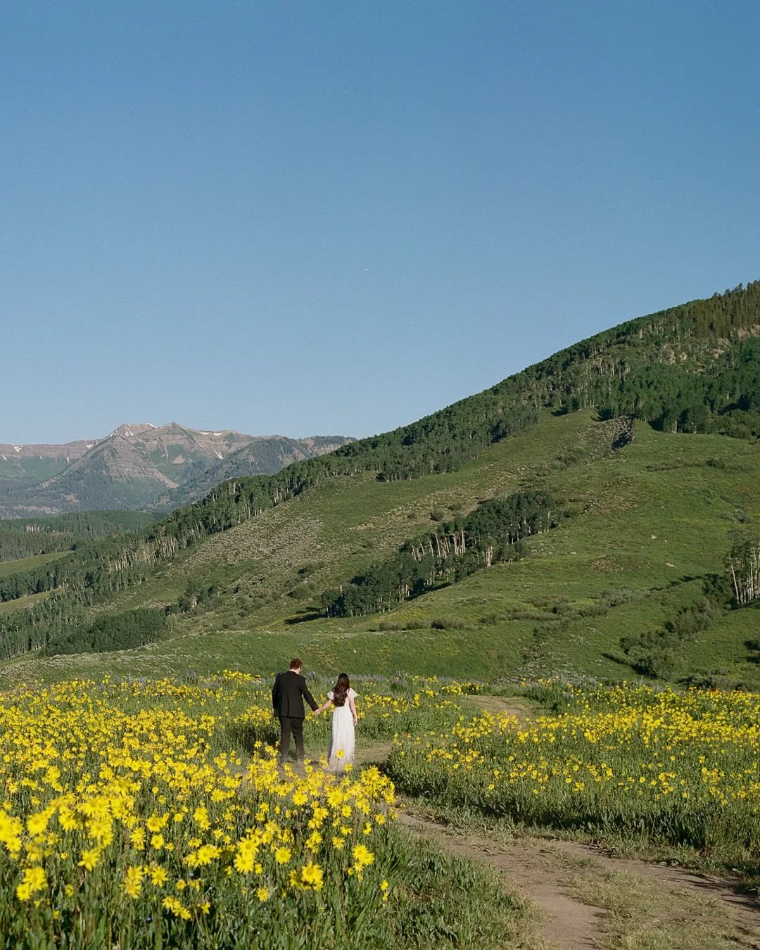 Will happily set five alarms and still wake up in a panic at 3 AM before any of them even go off just so I can photograph your dreamy mountain elopement surrounded by wildflowers as far as the eye can see.

Mix of digital and 120 film.