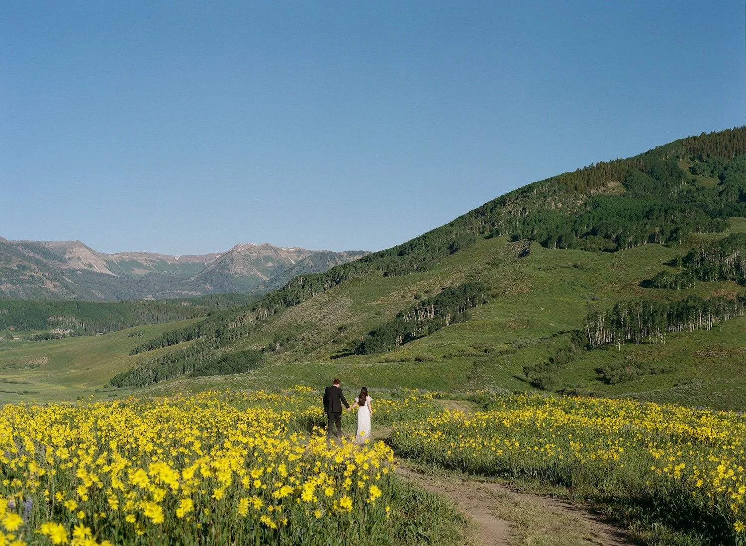 Erin+Matthew-Elopement-7-7-25-web-141.jpg