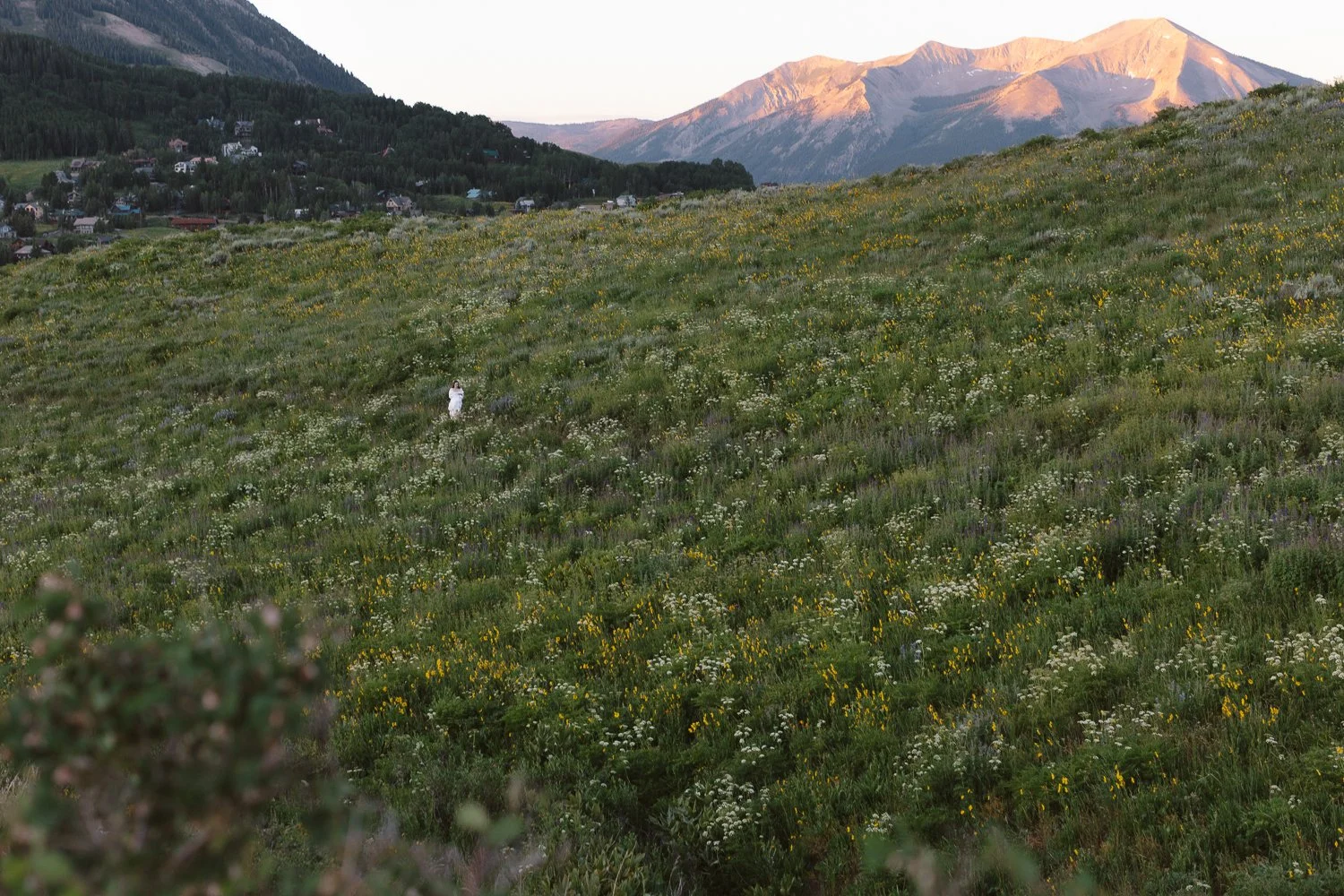 crested-butte-wildflower-elopement-3.jpg