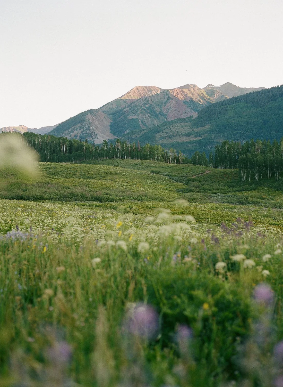 crested-butte-wildflower-elopement-38.jpg