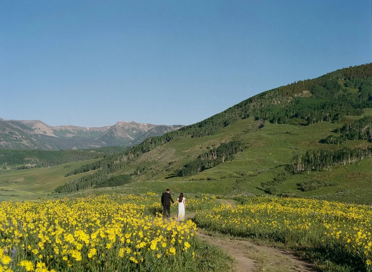A Wildflower Elopement in Crested Butte | Colorado Elopement Photographer
