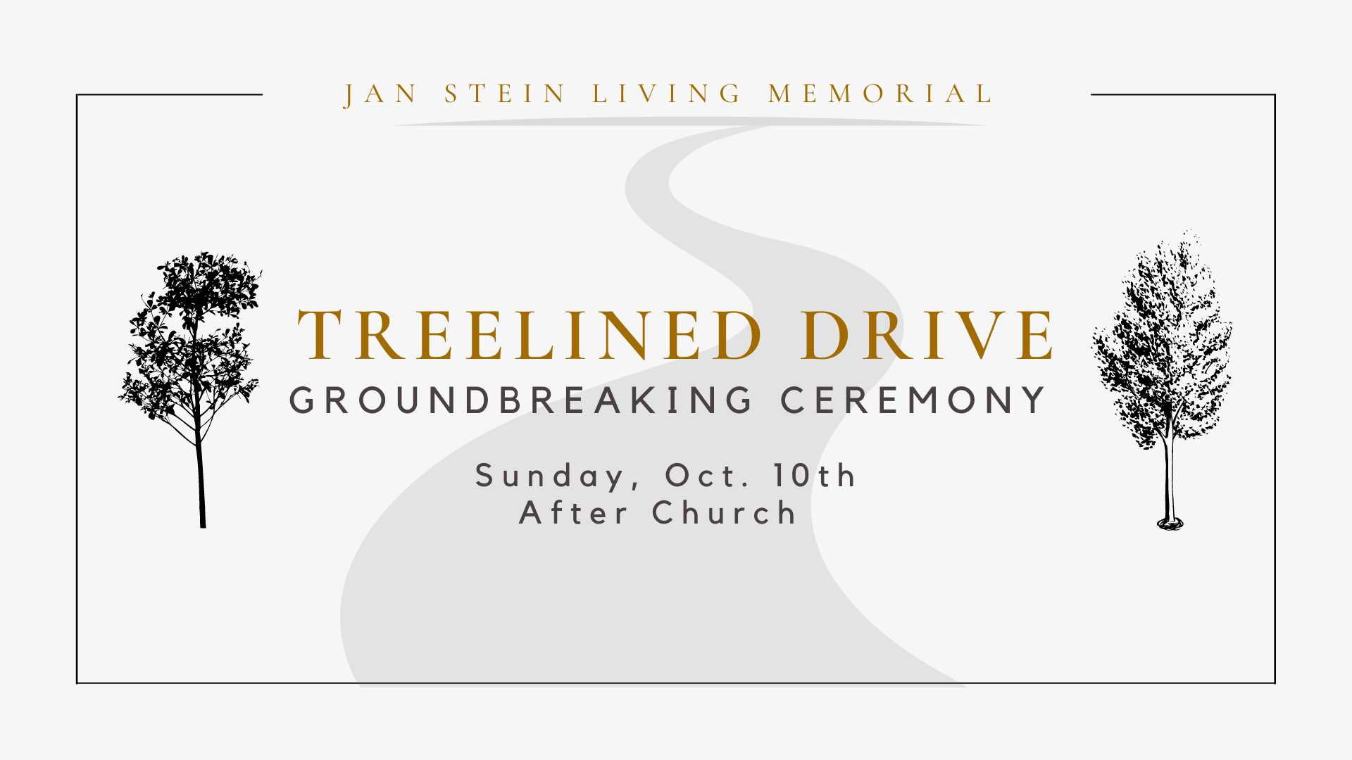 Treelined Drive.jpeg