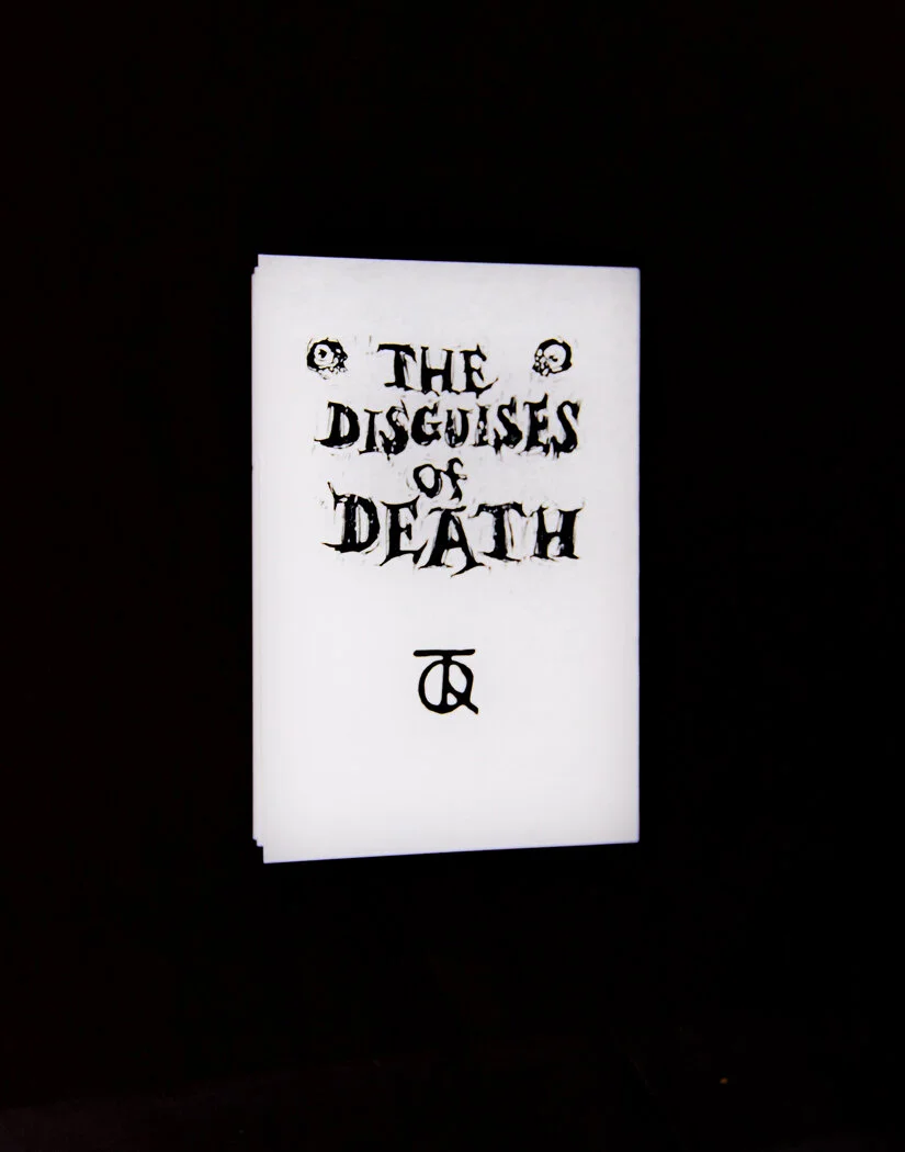 The Disguises...AB UPweb.jpg