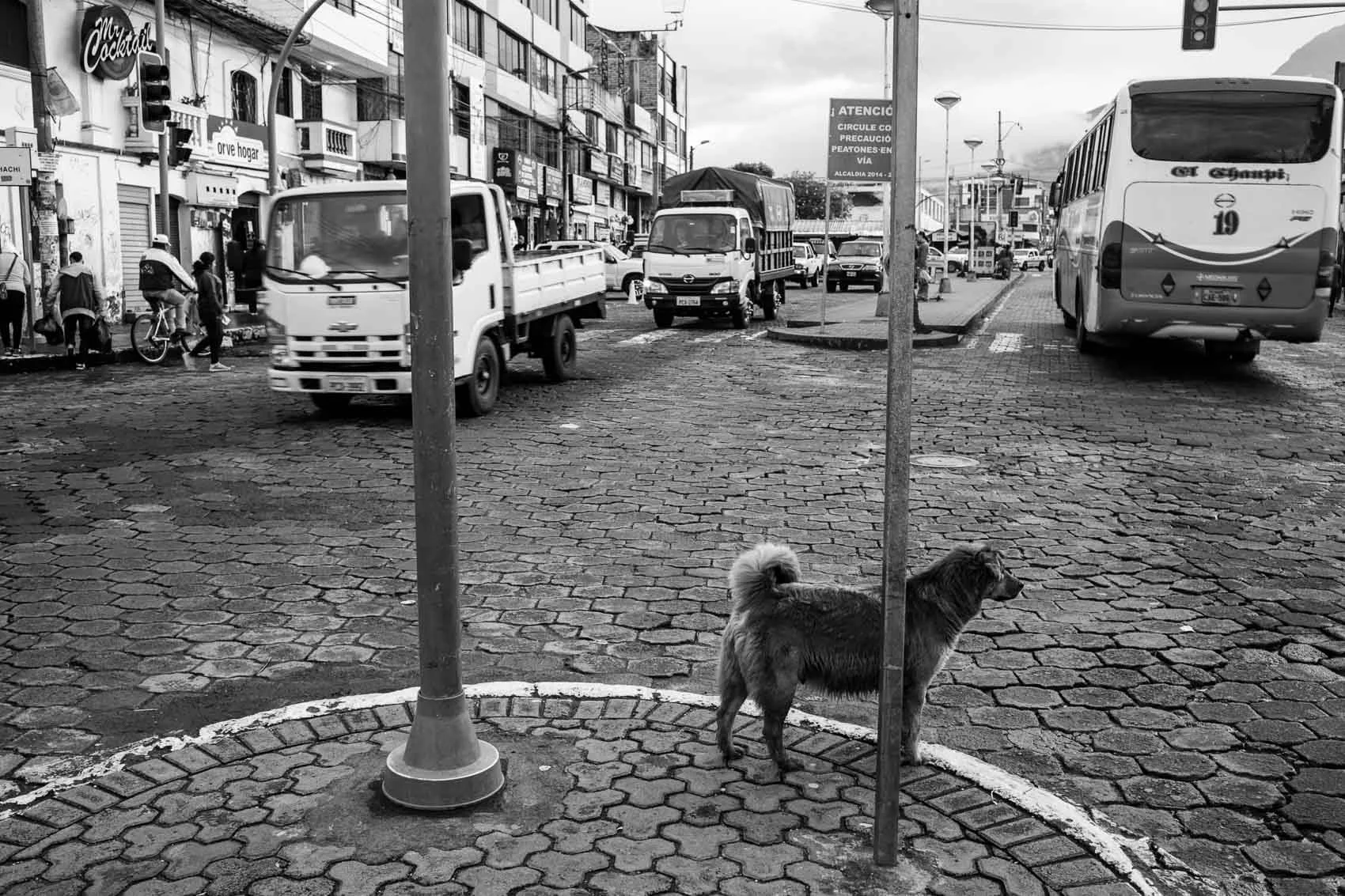 Machachi, 2019