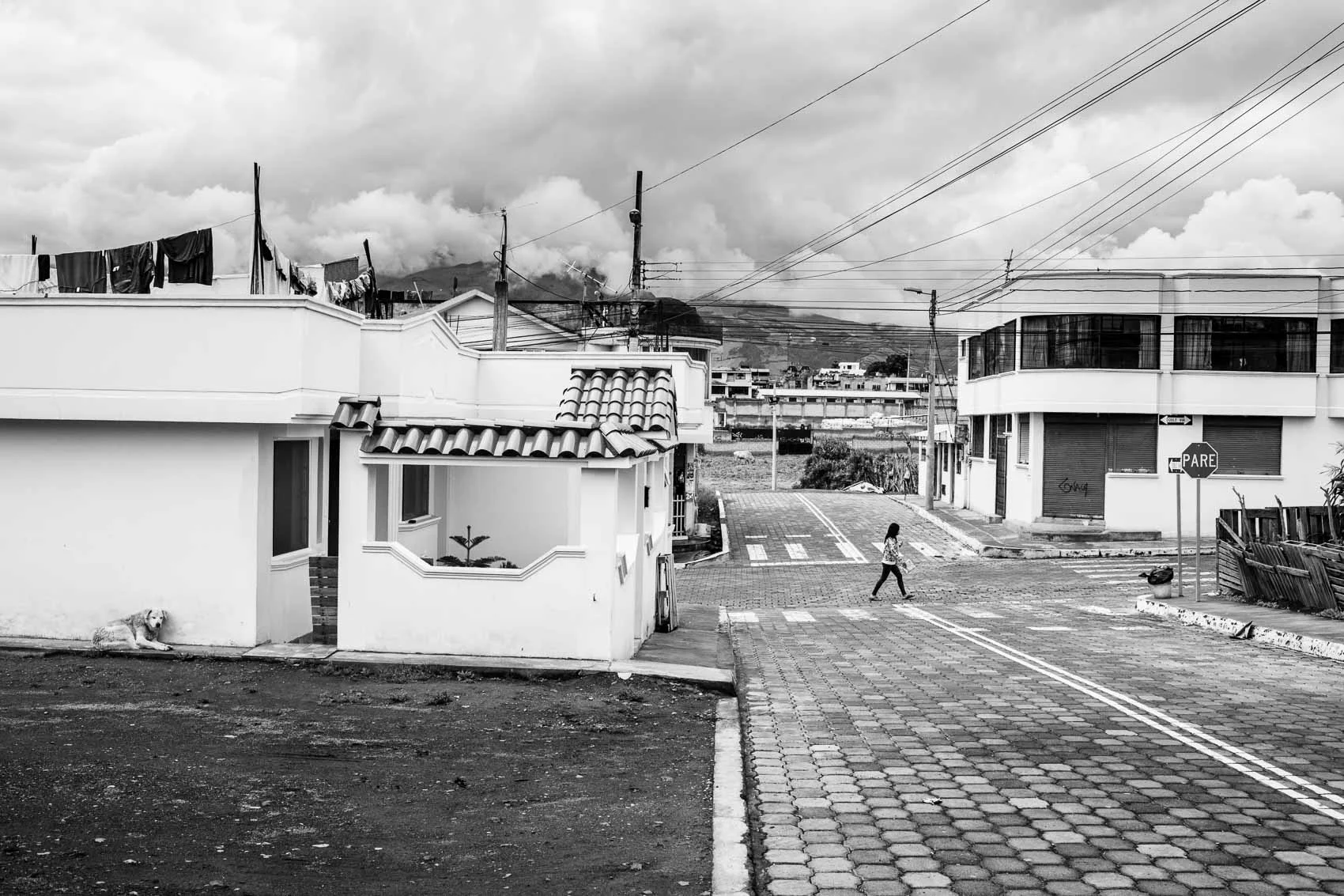 Machachi, 2019