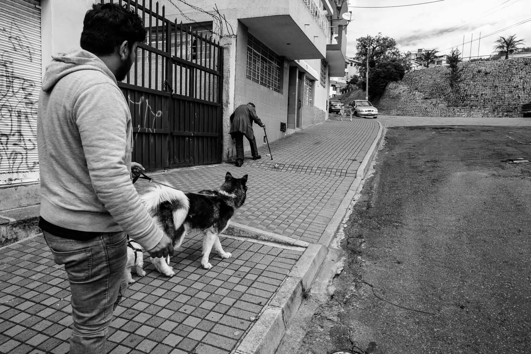Quito, 2019