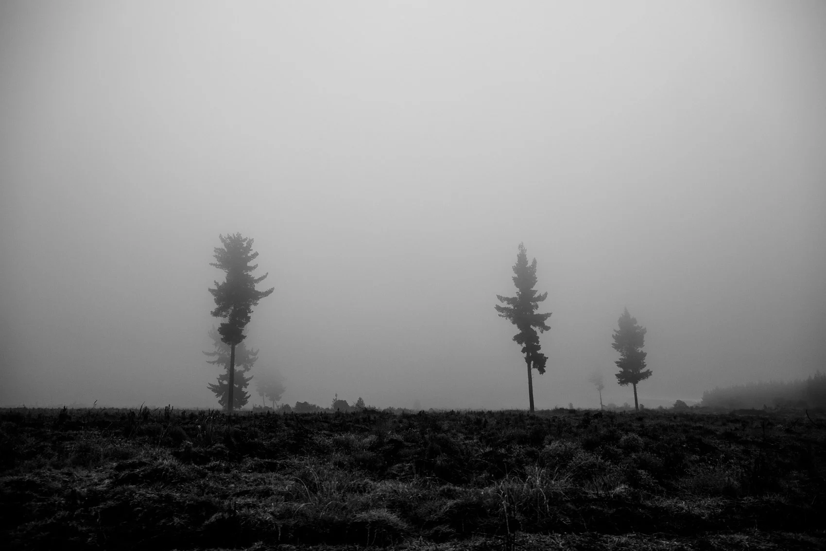Cotopaxi, 2019