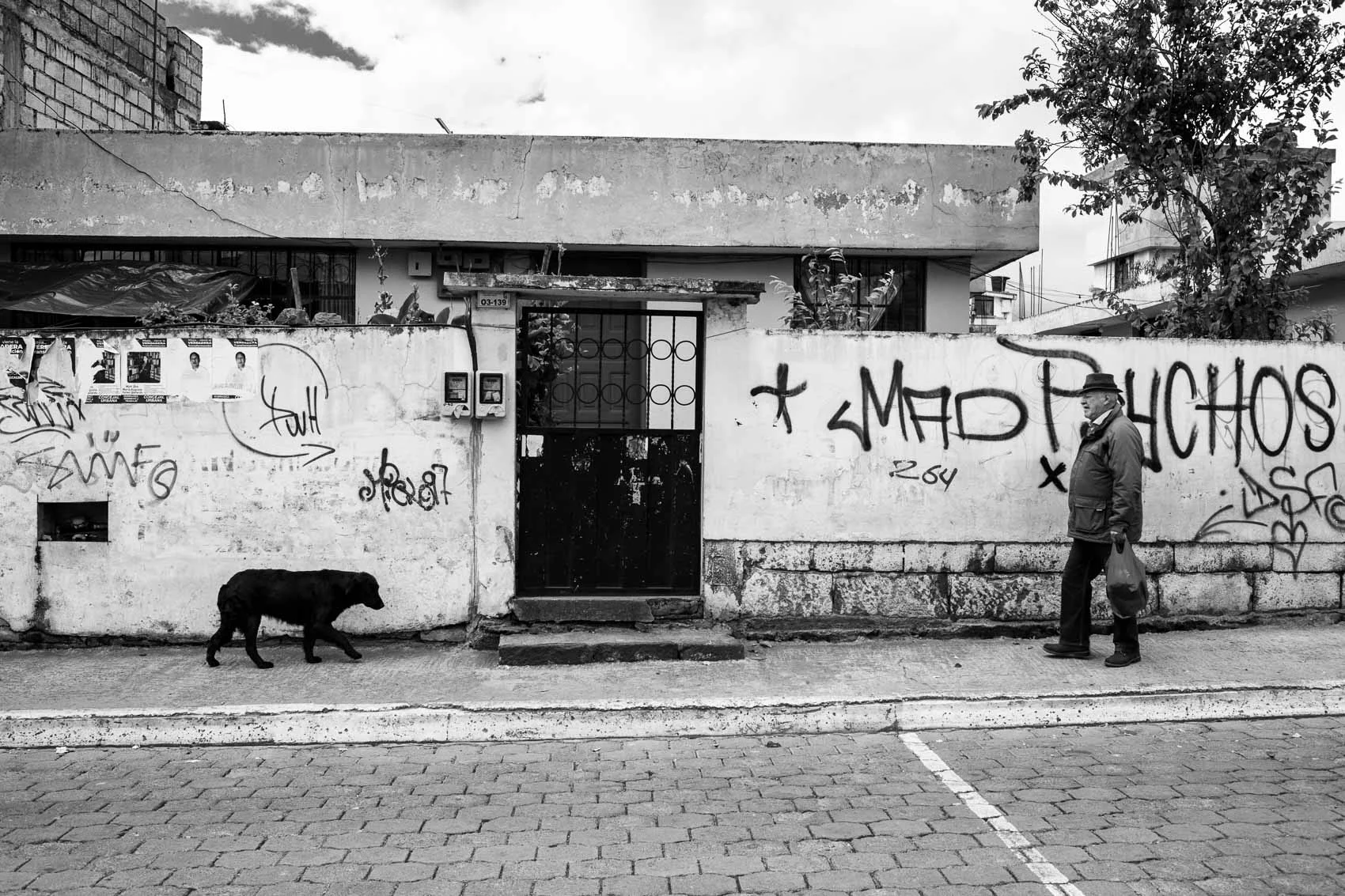 Machachi, 2019