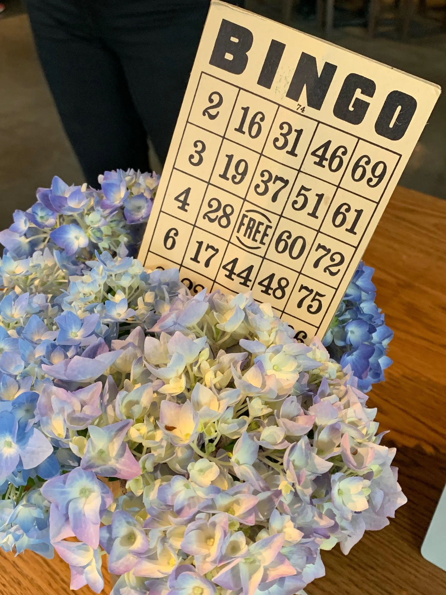 bingoflowers.jpg