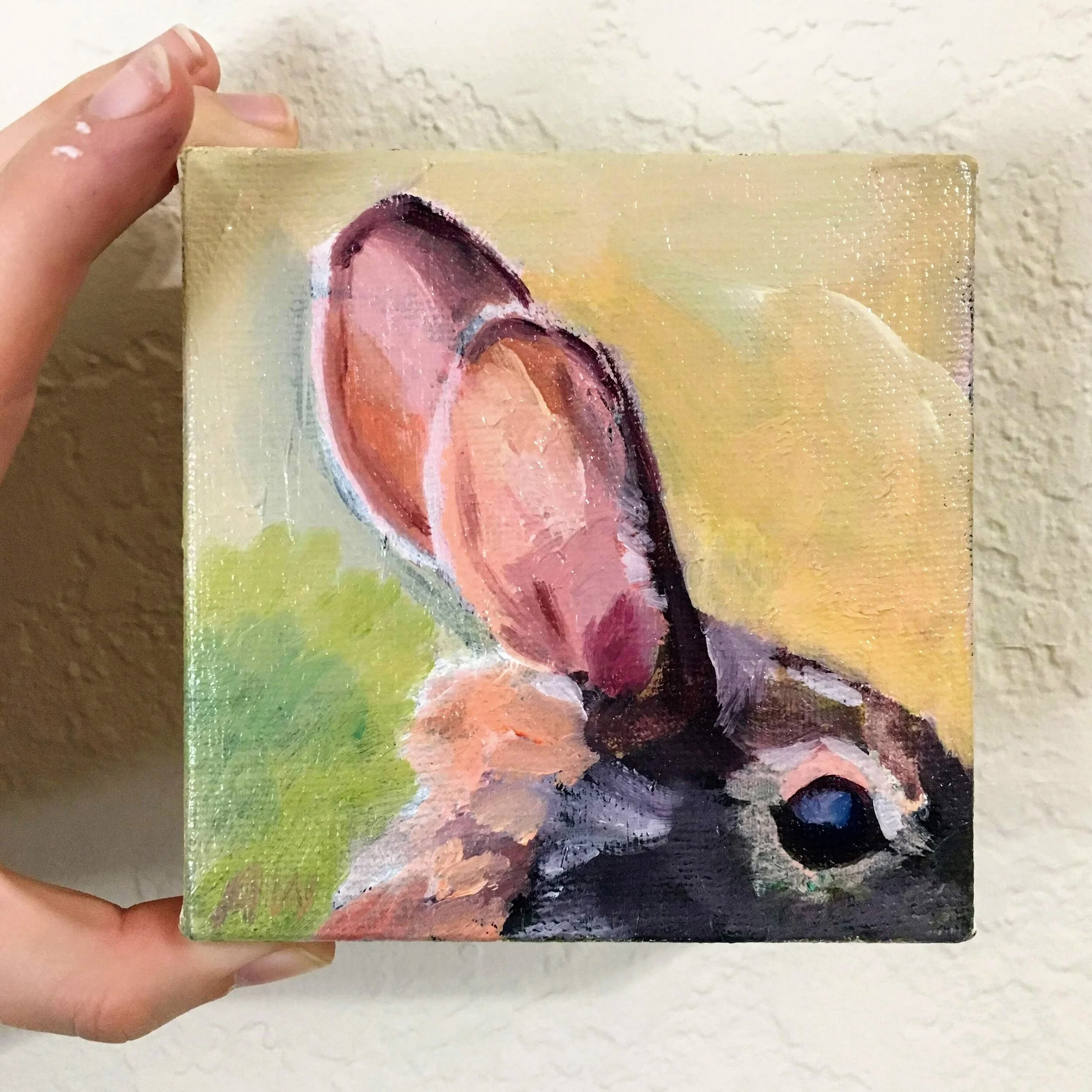 amberwhitworth_rabbit.jpg